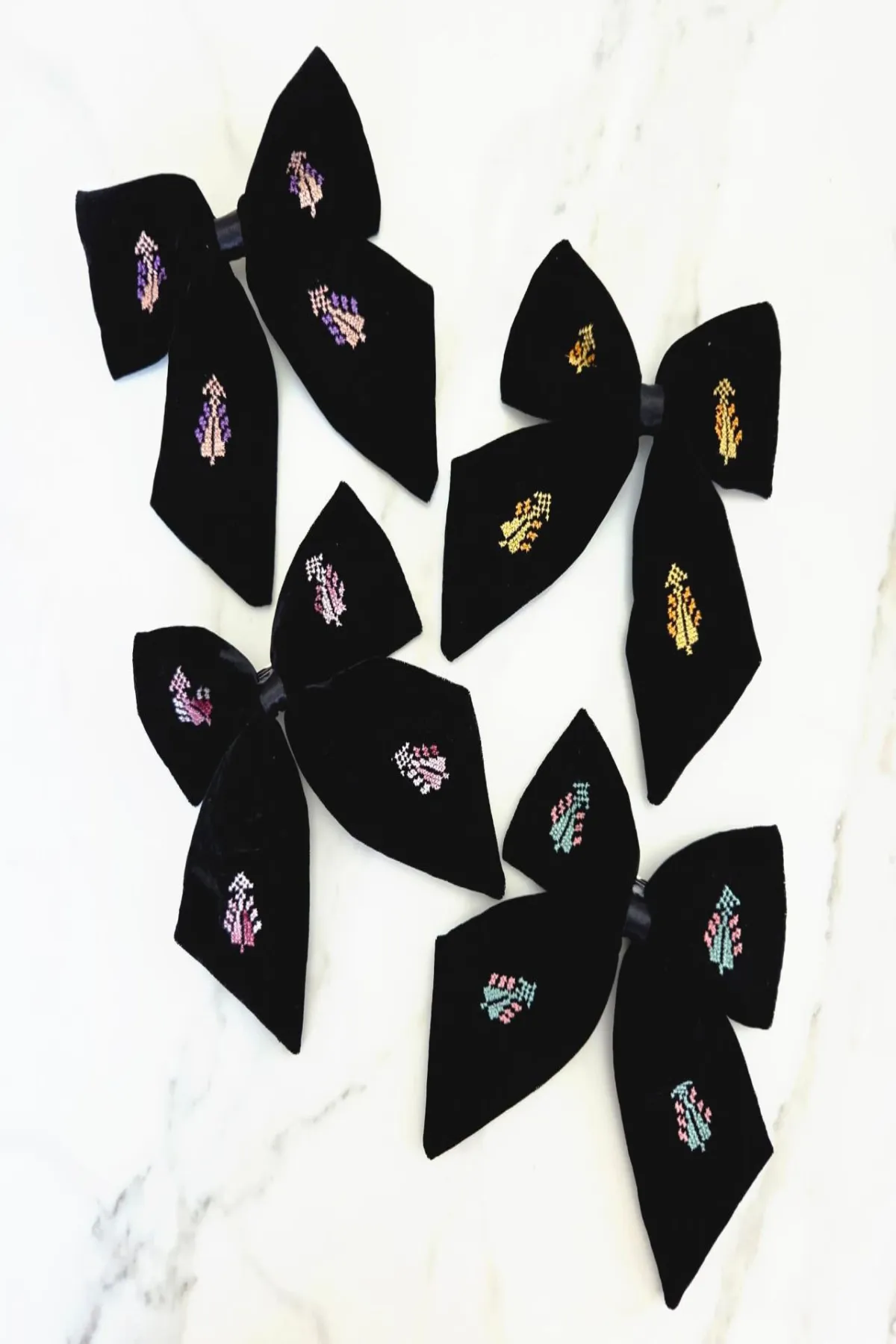 Palestinian Cypress - Image 2